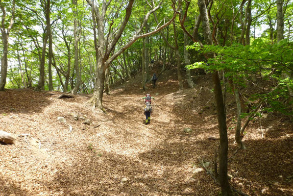 39.お金明神参拝へ