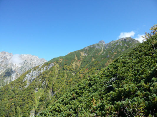 やっと明神主稜線が見えてきた