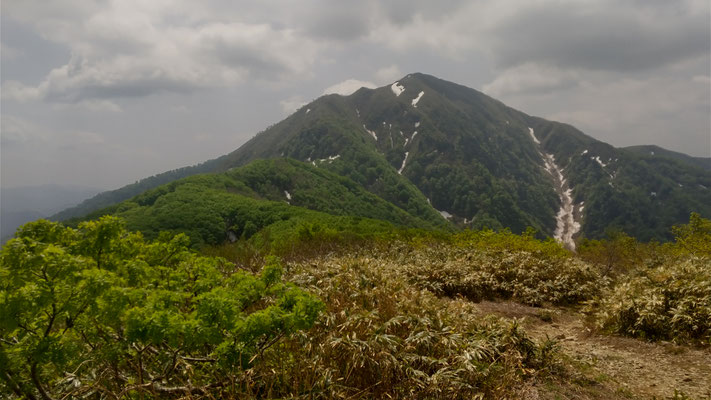 小荒島岳から荒島岳山頂を望む