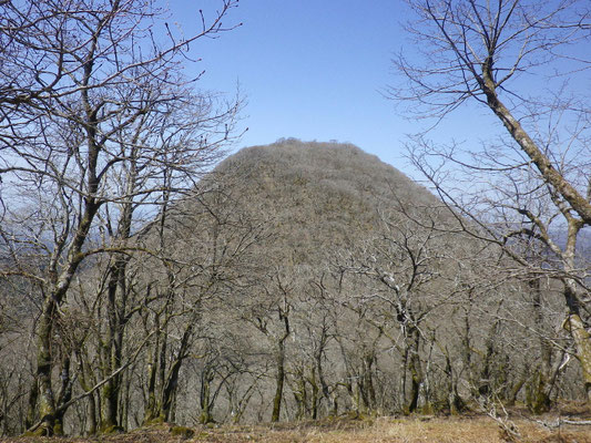 鈴北岳から少し下って、福寿草の咲く鈴が岳を望む。少しため息