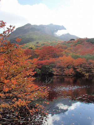 瓢箪池の周りも見事な紅葉でした。
