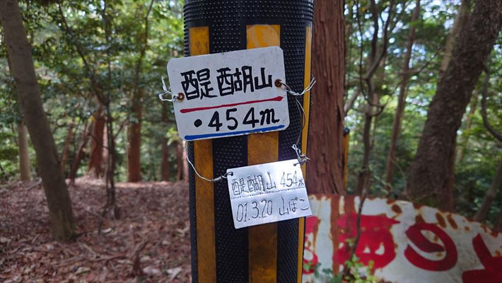 醍醐山(454ｍ)の山頂は登山道沿いにあります。