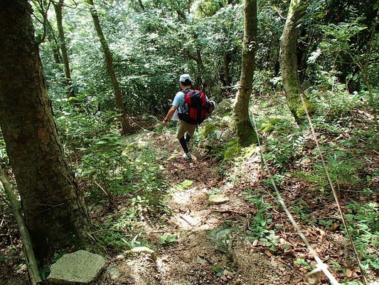 林道から神崎川本流に下りる所です