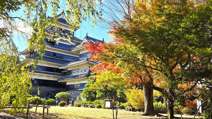 11/7 国宝松本城　紅葉の木々と現存する日本最古の五重天守