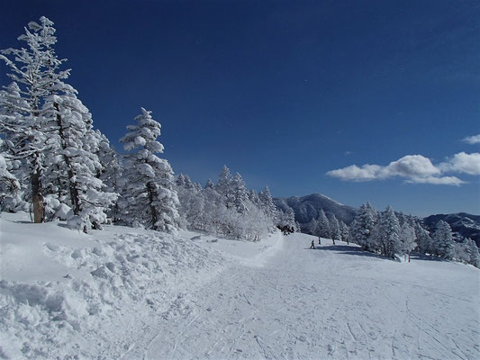 気温は低く快晴、雪質良し。