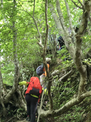 青葉山　中々急な登りです