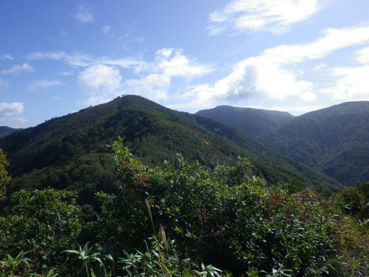 徳助の頭からこれから登る小大日山、大日山、加賀甲が見える