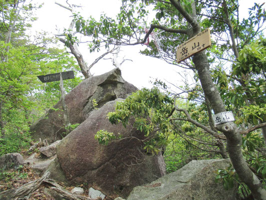 岳山山頂(565m)眺望、ほとんどなし
