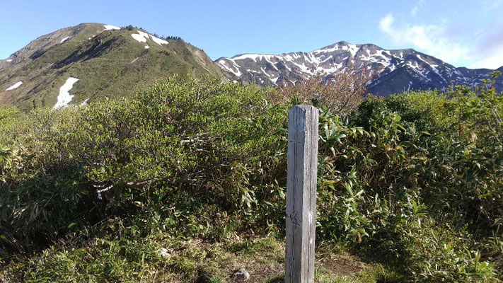 別山がきれいに見える一の峰ピーク