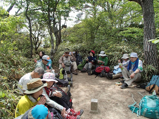 2つの班は龍王山山頂で昼食休憩です