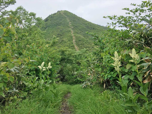 井岸山(1,400m)から少し下りた地点から平家岳