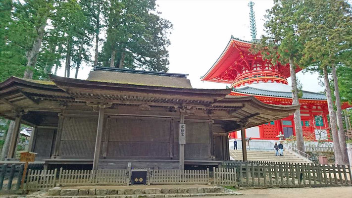 国宝の不動堂(鎌倉時代) 奥は根本大塔(昭和に再建