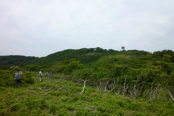 14.反射板も見えて