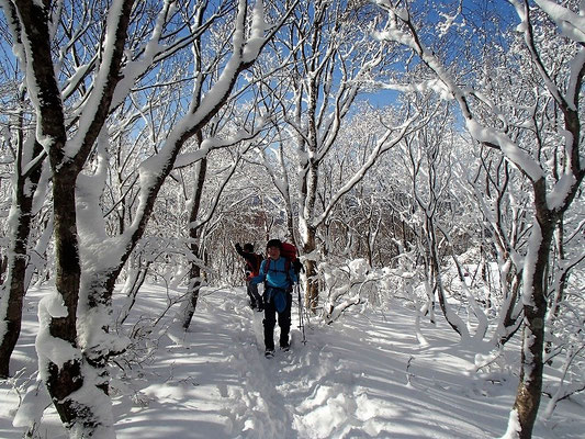 樹氷と積雪が一緒になったものでしょうか