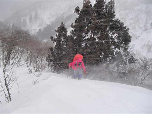 雪煙のなか山頂へ