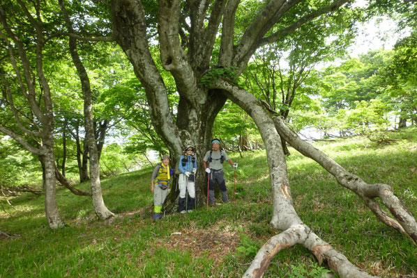 11.記念撮影ブナの木「ノロ」と一緒に