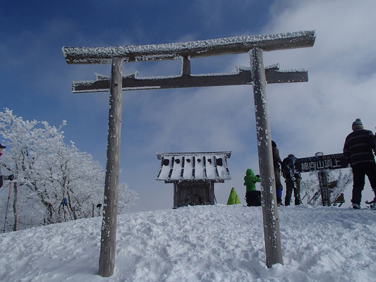 23ここが山綿向山頂