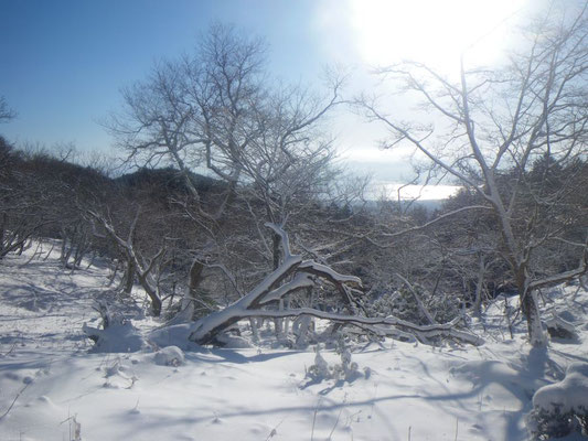新雪。輝く湖面。②