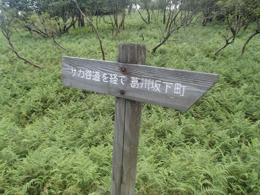 一般道を下山します