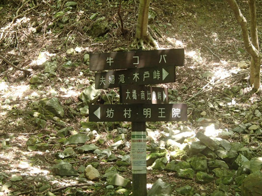 牛コバを経て