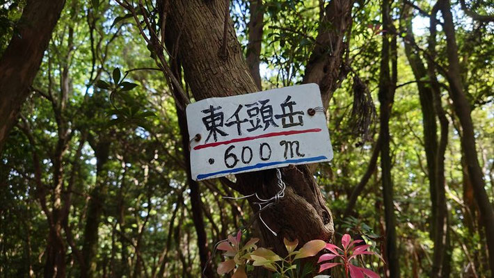 東千頭岳山頂(600ｍ)の標識