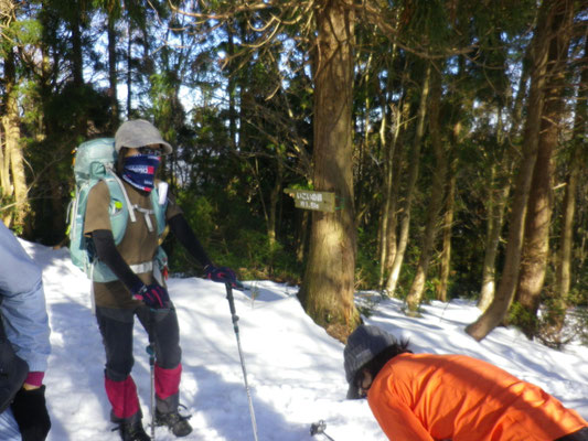 尾根道との分岐で－雪が多くなる