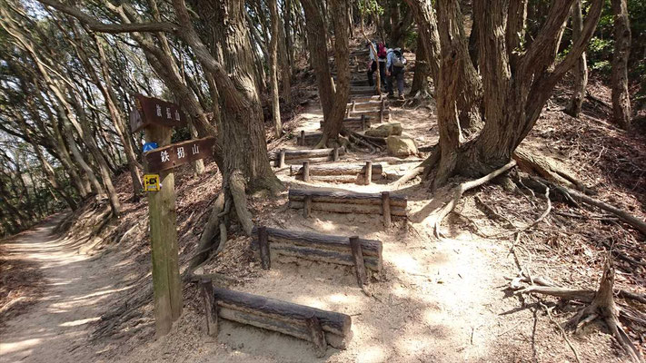 階段の登山道と巻道