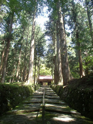 ここの参道がいい感じです。