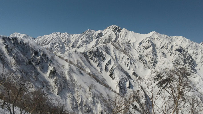 稜線から五竜岳、武田菱がきれいに見える