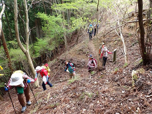 周山城の堀切を超えて