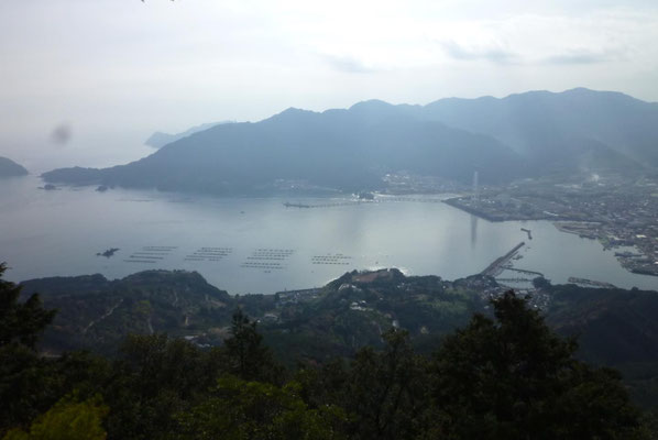 尾鷲の港と街並み。