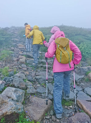 さあ、山頂へと向かいましょう。