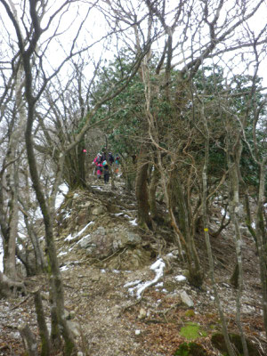 三国岳からダイラの頭への縦走路