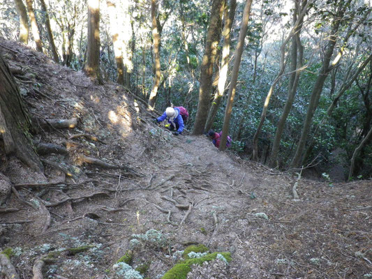 急坂の登山道を木の根をつかみながら登る