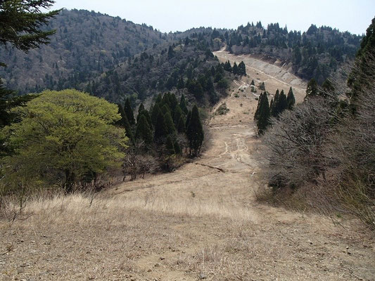 元ゲレンデ跡