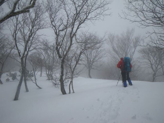 雪が止み、ガスってきた。暖かいので樹氷がないのが残念。