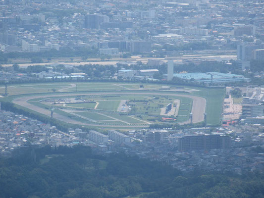阪神競馬場アップ
