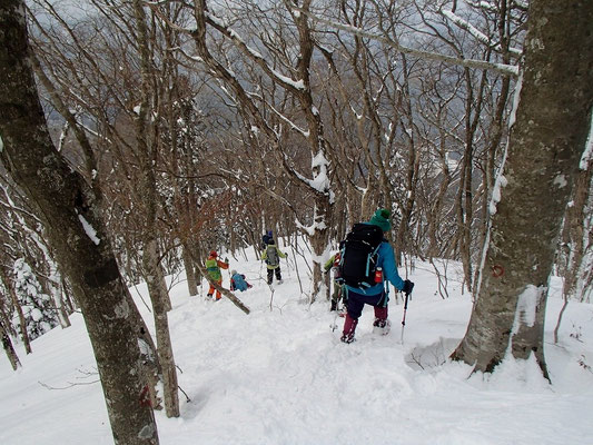 雪の尾根道下りでは、滑ったり転んだりもしますが