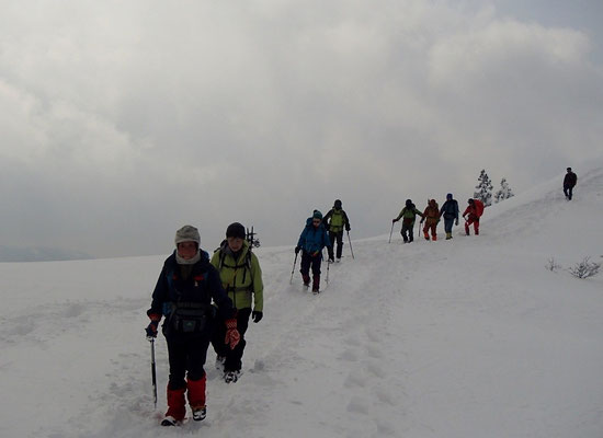 西南稜は広い雪原が
