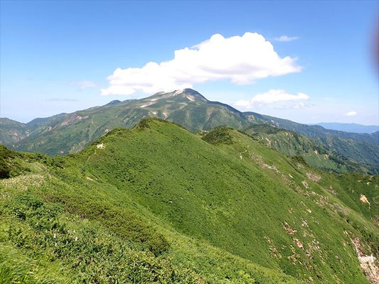 この尖った稜線(大屏風)を歩いていきます。暑そう。奥に白山本峰