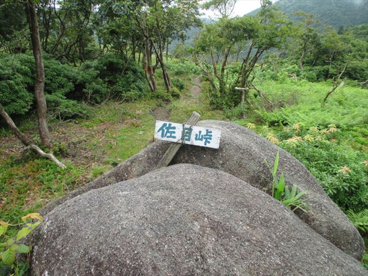 佐目峠