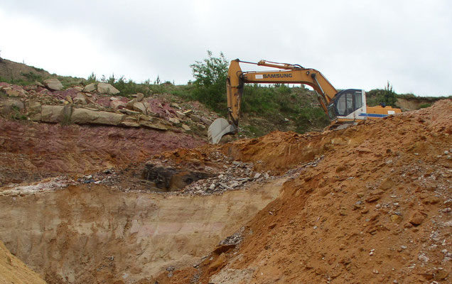 Excavation of the clay lense by Hartmut Pochanke at the locality Pechgraben 2001.