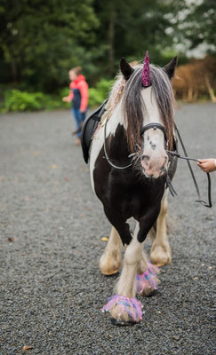 Finni als Einhorn (Bild: Tobias Zimmermann)