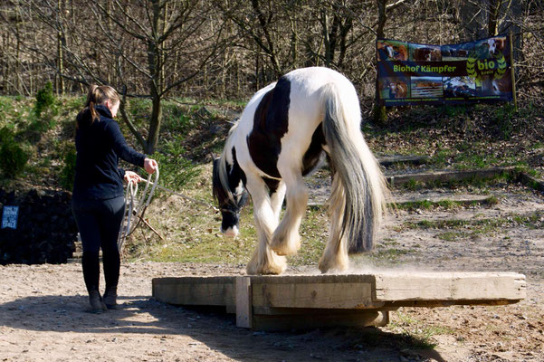 Cathi und Finni auf der Wippe