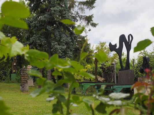 im Weinviertel 3