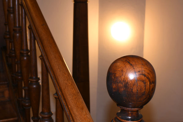 geformtes Holz 1