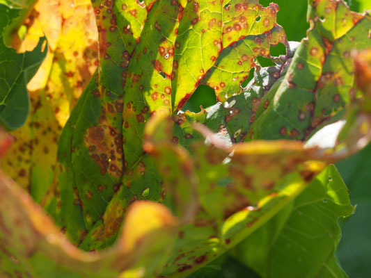 Form und Farbe 2