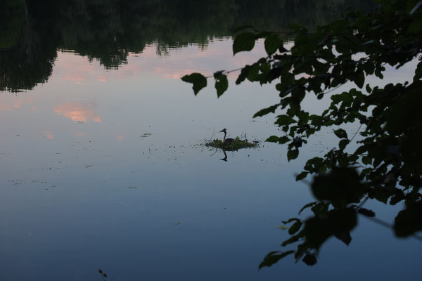 Abend 1