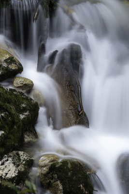 Wasser formt