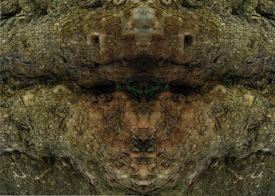 wilder Mann 2